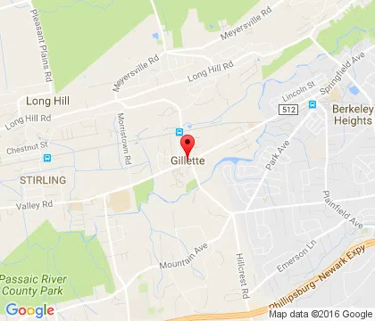 logo-image - Gillette-NJ